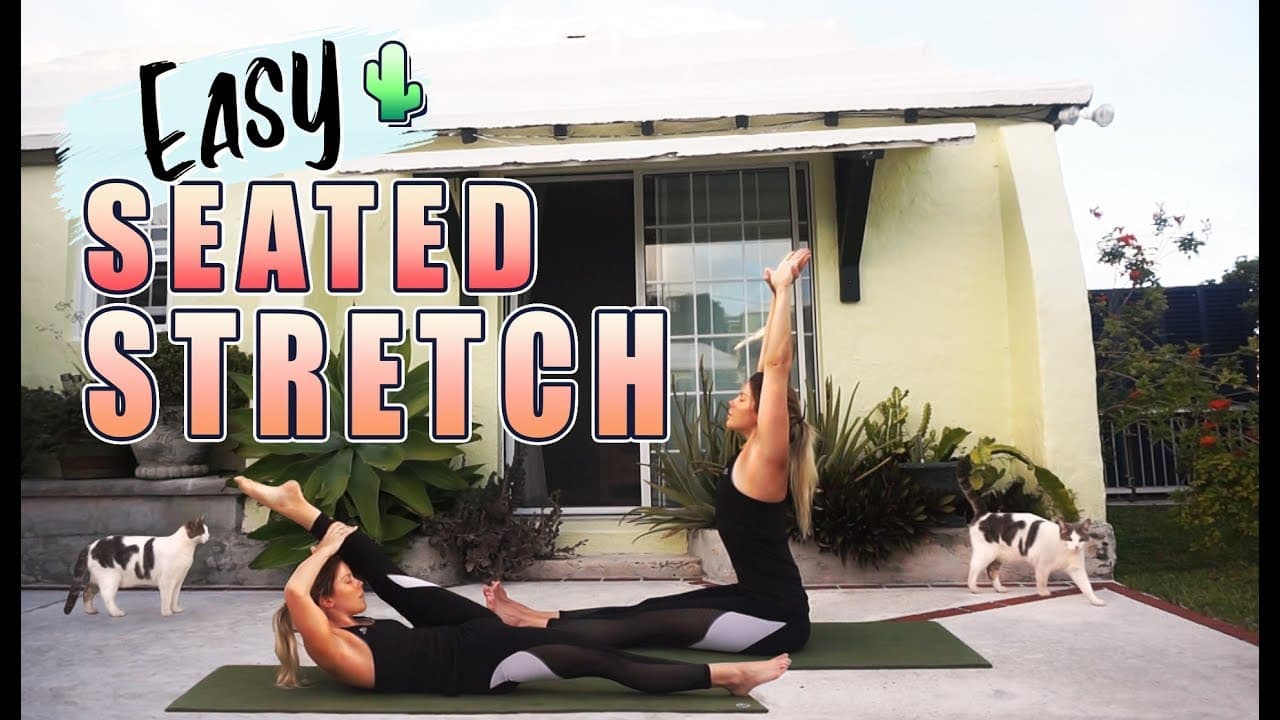 Seated Stretches for Tight Hips & Lower Back | Beginner Friendly!