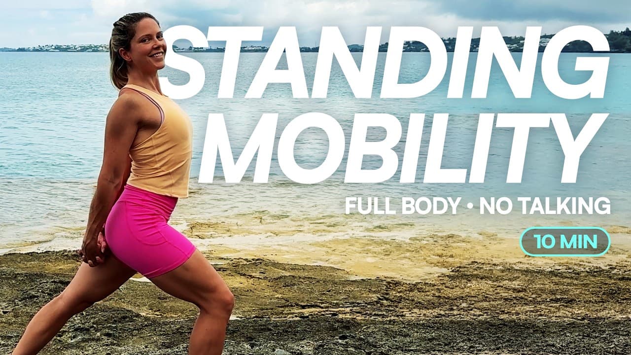 Full Body Mobility in 10 Minutes | No Floor, No Talking