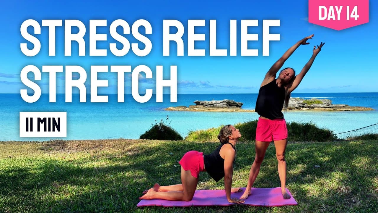 DAY 14 • 11 MIN SLOW FLOW YOGA || Gentle Stretches for Stress & Anxiety Relief