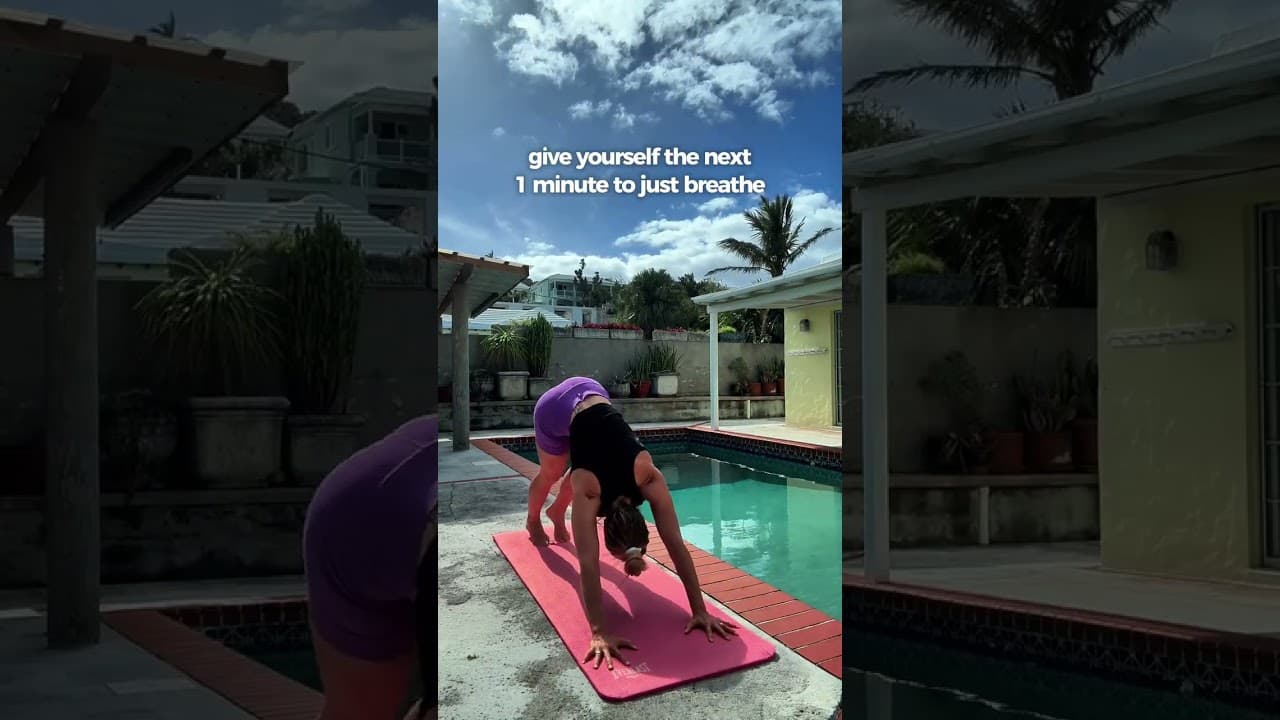 give yourself the next 1 minute to just breathe ❤️