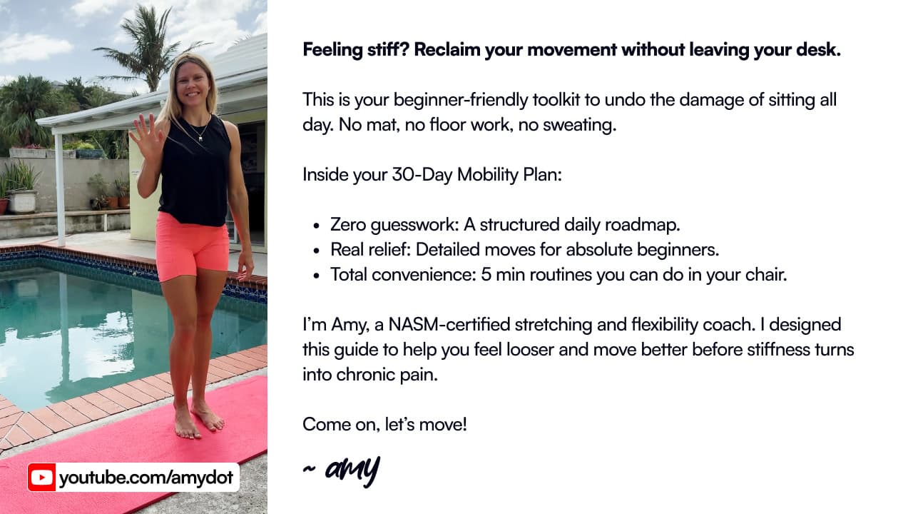 Seated Stretching Guide — preview 2