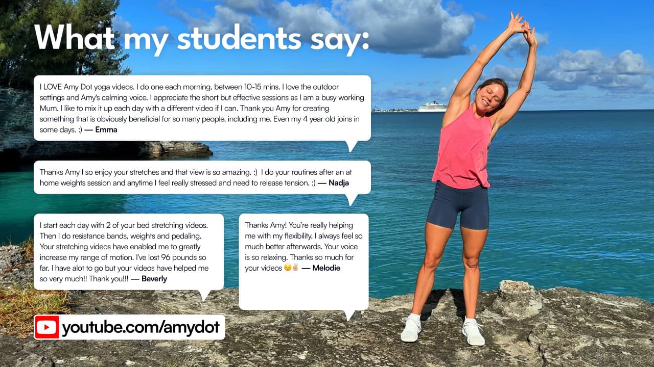 Seated Stretching Guide — preview 9